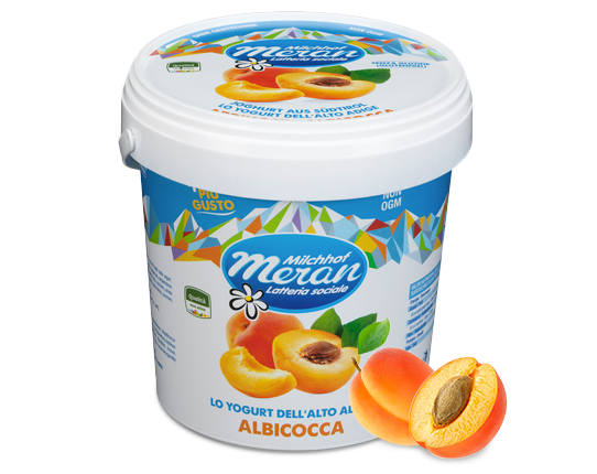 Yogurt classico all&#39;albicocca