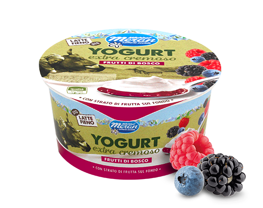 Yogurt intero da latte fieno STG con frutti di bosco