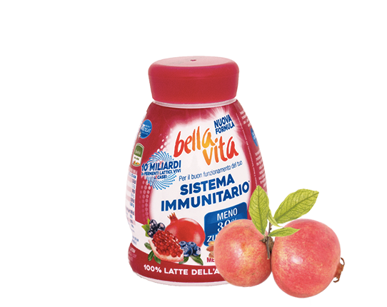 Bella Vita Drink  Heidelbeere, Johannisbeere und Granatapfel